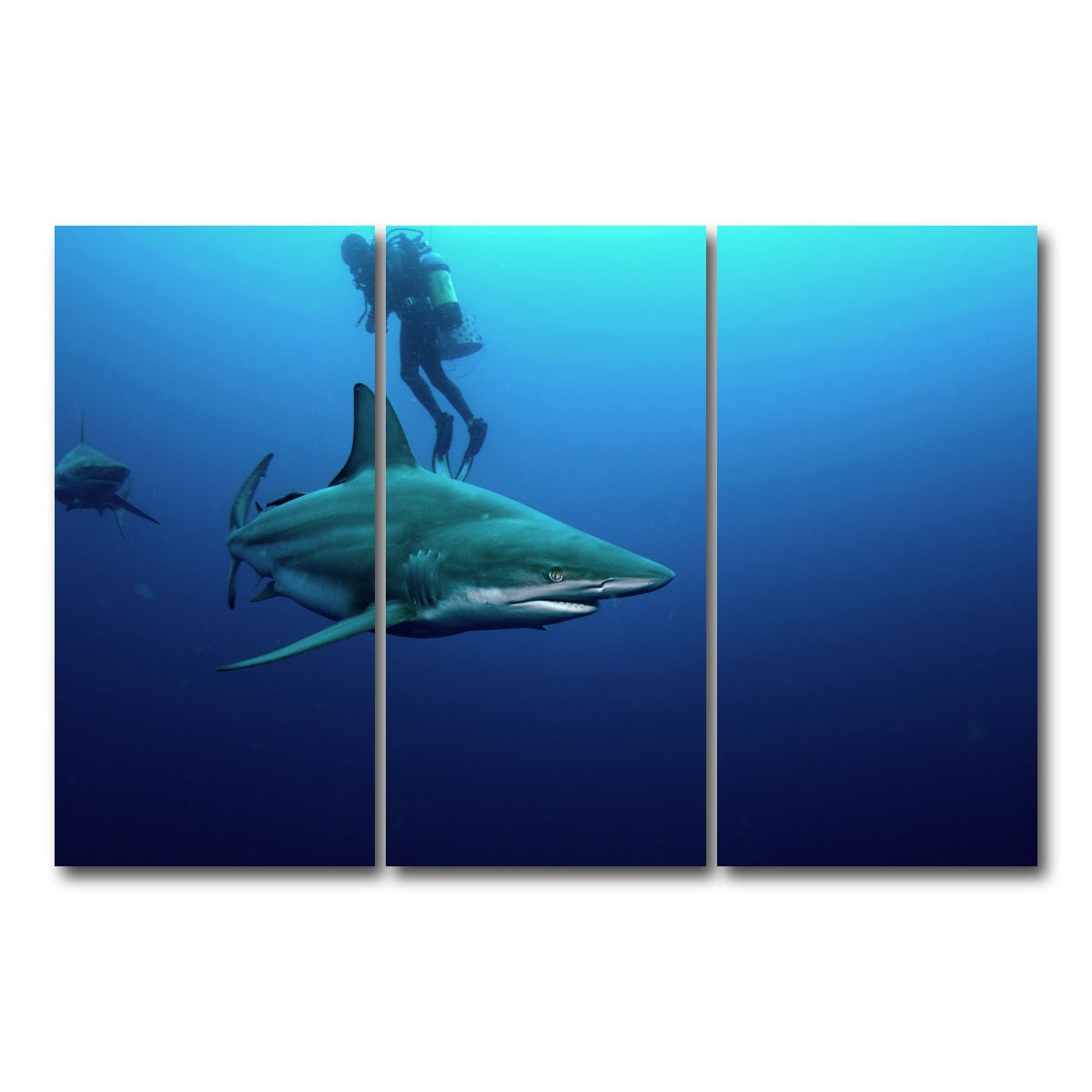 AUTO-MOCKUP WHITE | Bull Shark & Diver | 3 Piece | Gallery Wrap Canvas | group=12x24