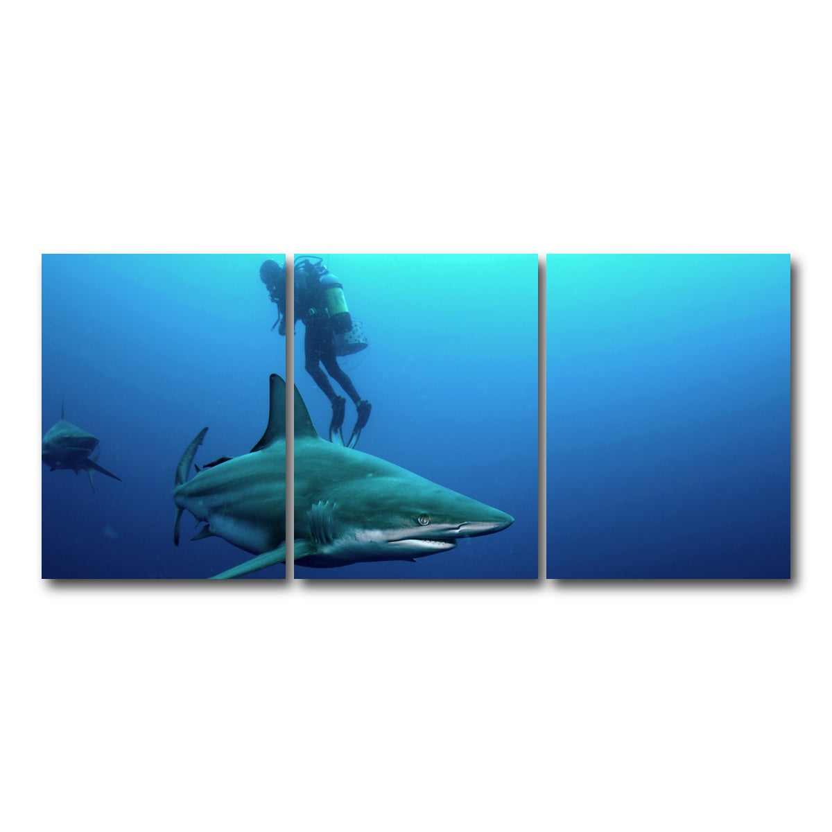 AUTO-MOCKUP WHITE | Bull Shark & Diver | 3 Piece | Gallery Wrap Canvas | group=18x24