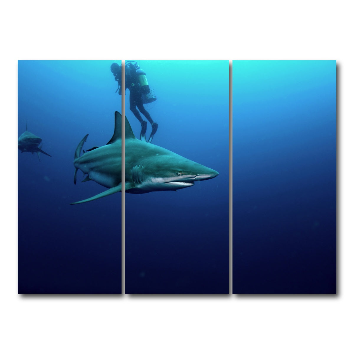 AUTO-MOCKUP WHITE | Bull Shark & Diver | 3 Piece | Gallery Wrap Canvas | group=8x18