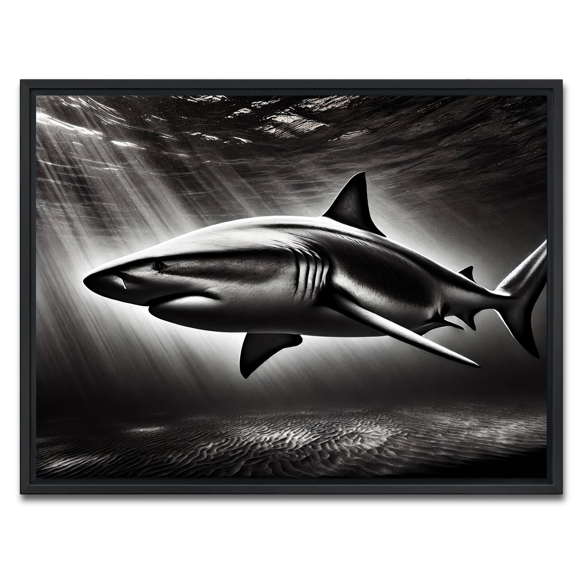 AUTO-MOCKUP WHITE | Bull Shark Grayscale | 1 Piece | Black Framed Canvas | group=4x3
