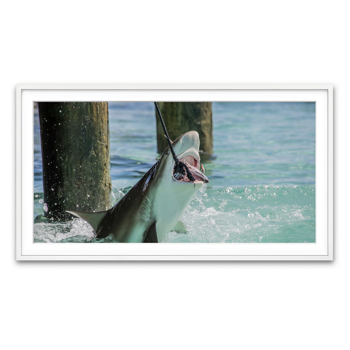 Framed Print 2x1 White