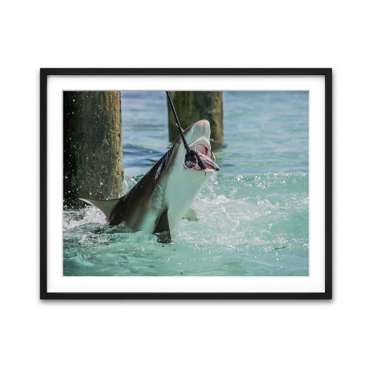 Framed Print 4x3 Black