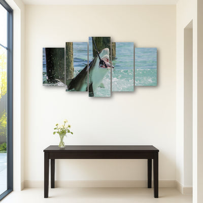 AUTO-MOCKUP ROOM | Bull Shark Snacking