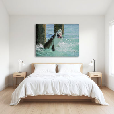 AUTO-MOCKUP ROOM | Bull Shark Snacking