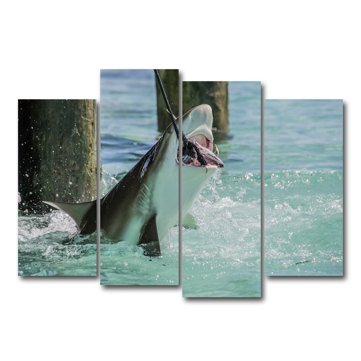 AUTO-MOCKUP WHITE | Bull Shark Snacking | 4 Piece | Gallery Wrap Canvas | group=4_normal