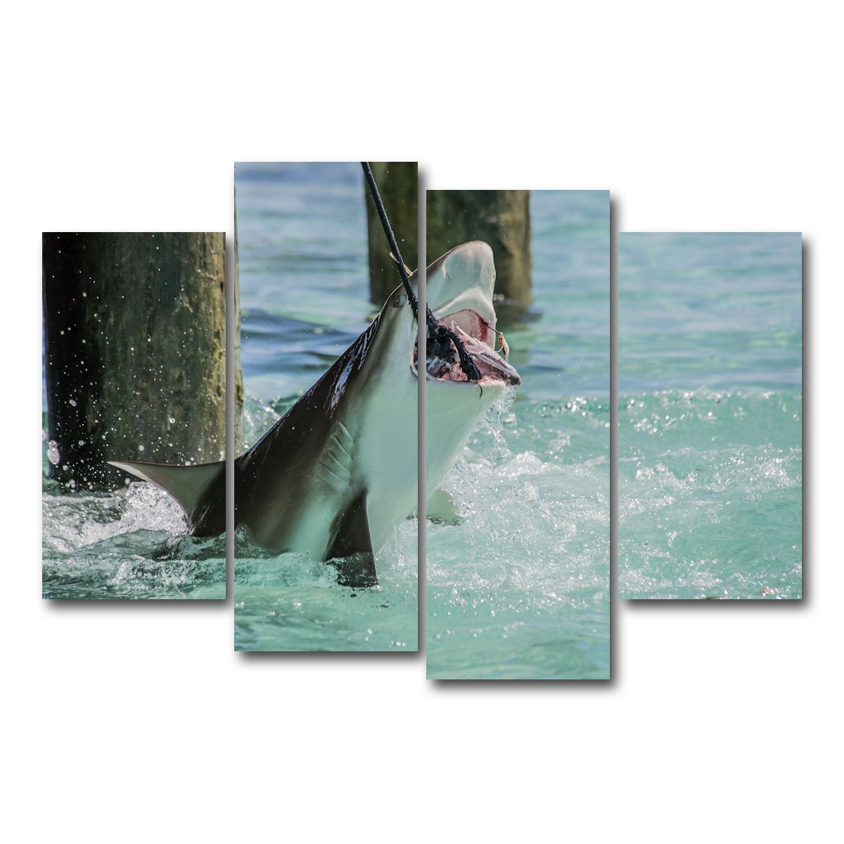 AUTO-MOCKUP WHITE | Bull Shark Snacking | 4 Piece | Gallery Wrap Canvas | group=4_short