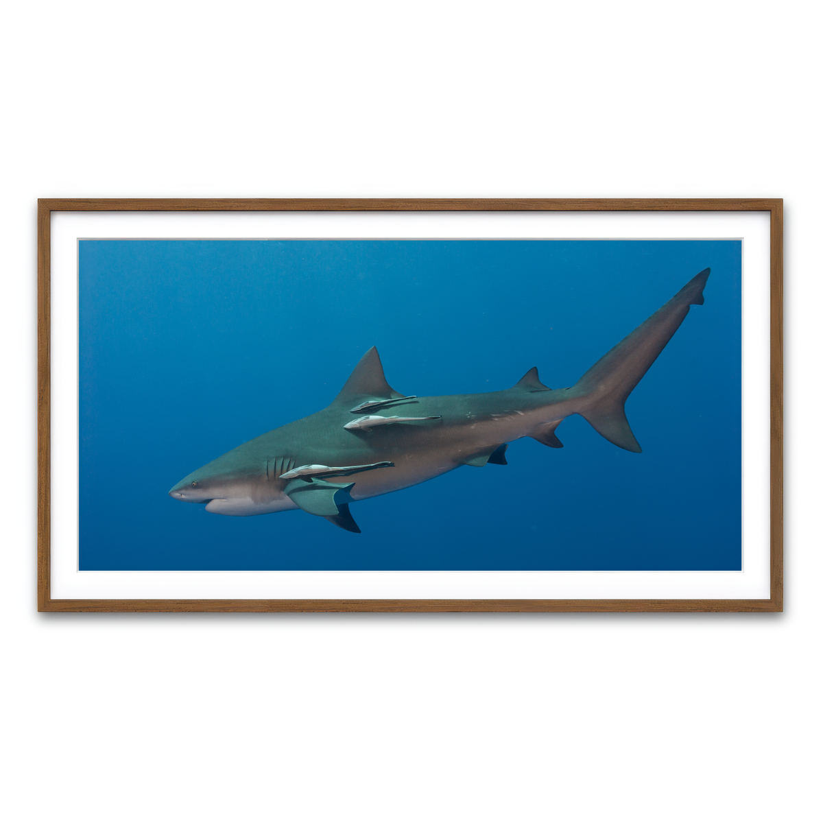 Framed Print 2x1 Walnut