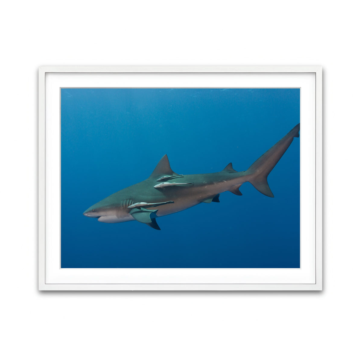 Framed Print 4x3 White