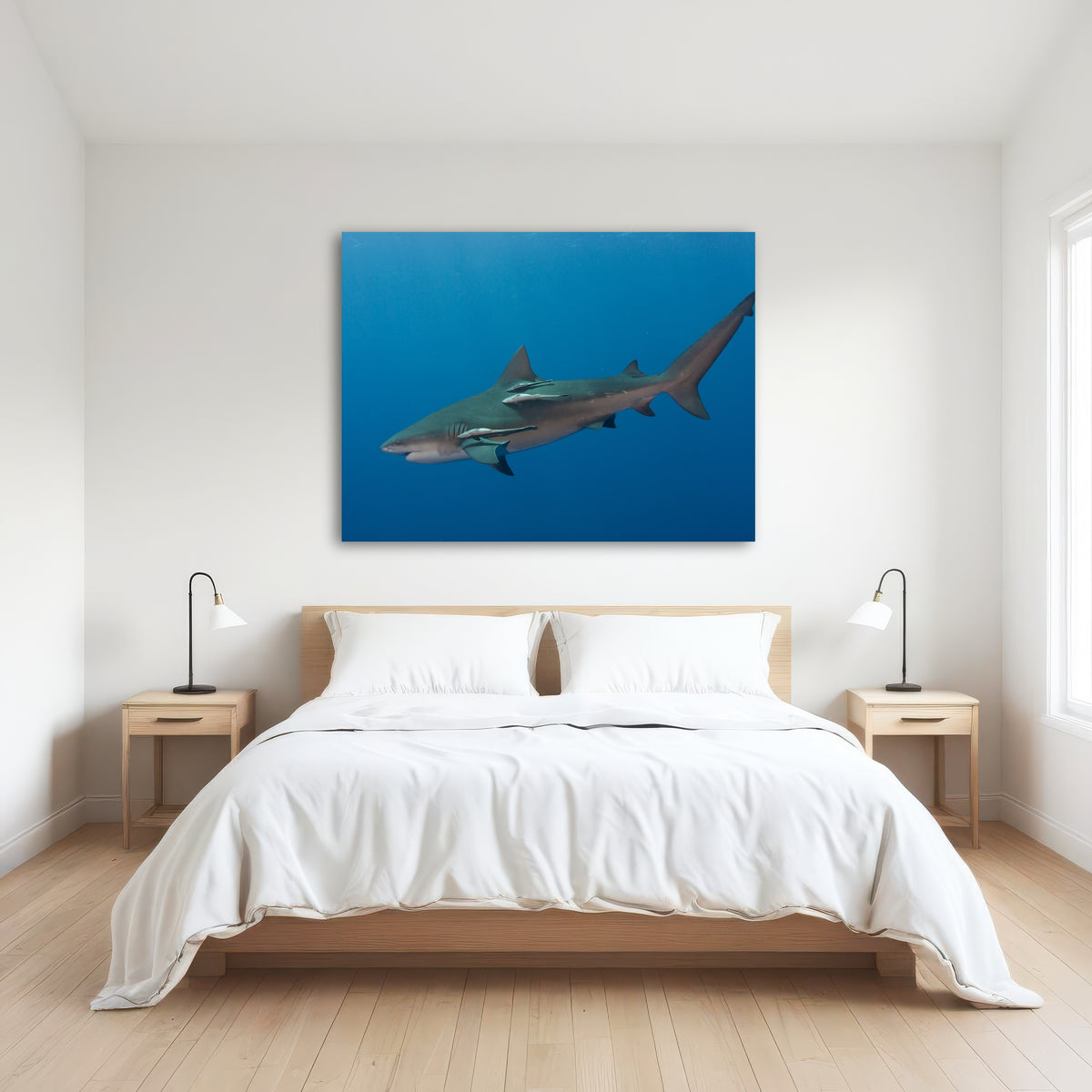 AUTO-MOCKUP ROOM | Bull Shark