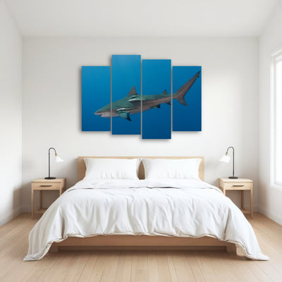 AUTO-MOCKUP ROOM | Bull Shark