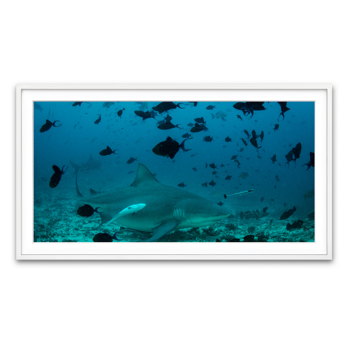 Framed Print 2x1 White