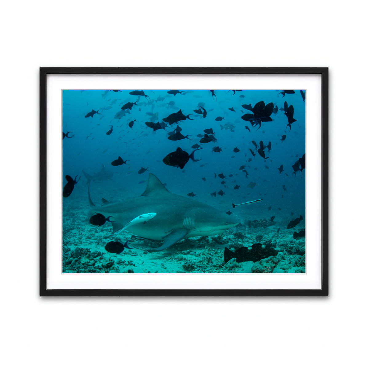 Framed Print 4x3 Black