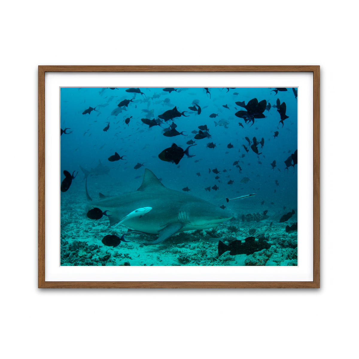 Framed Print 4x3 Walnut