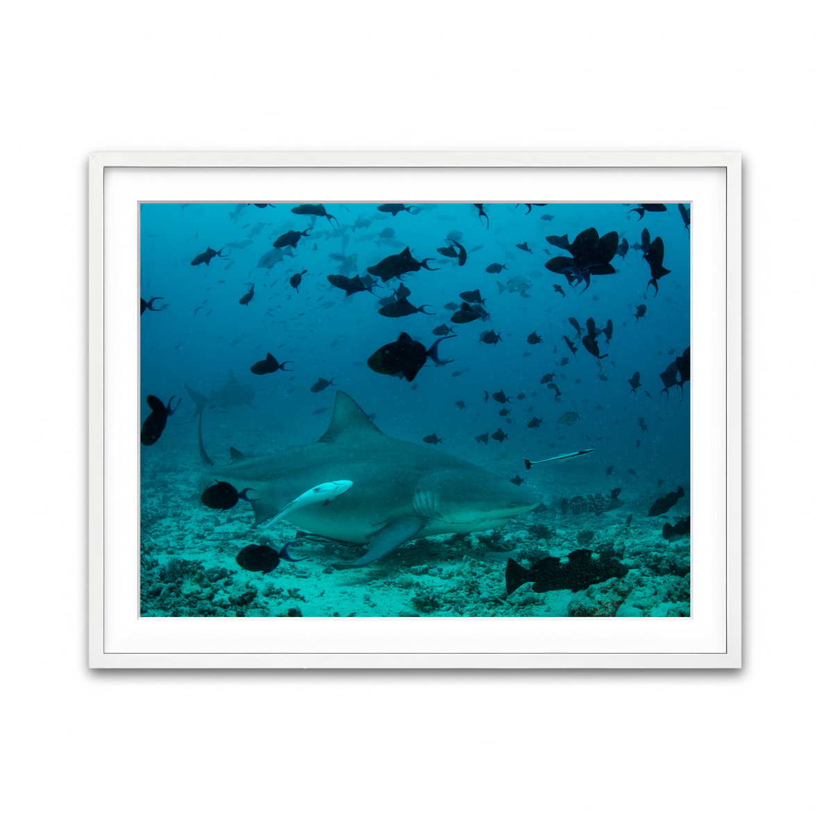 Framed Print 4x3 White