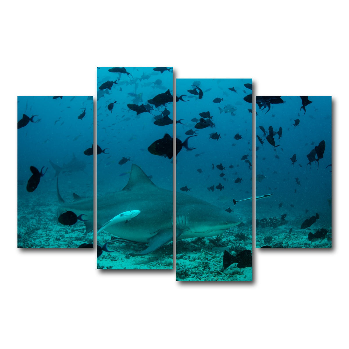 AUTO-MOCKUP WHITE | Bull Shark and Reef Fish | 4 Piece | Gallery Wrap Canvas | group=4_short