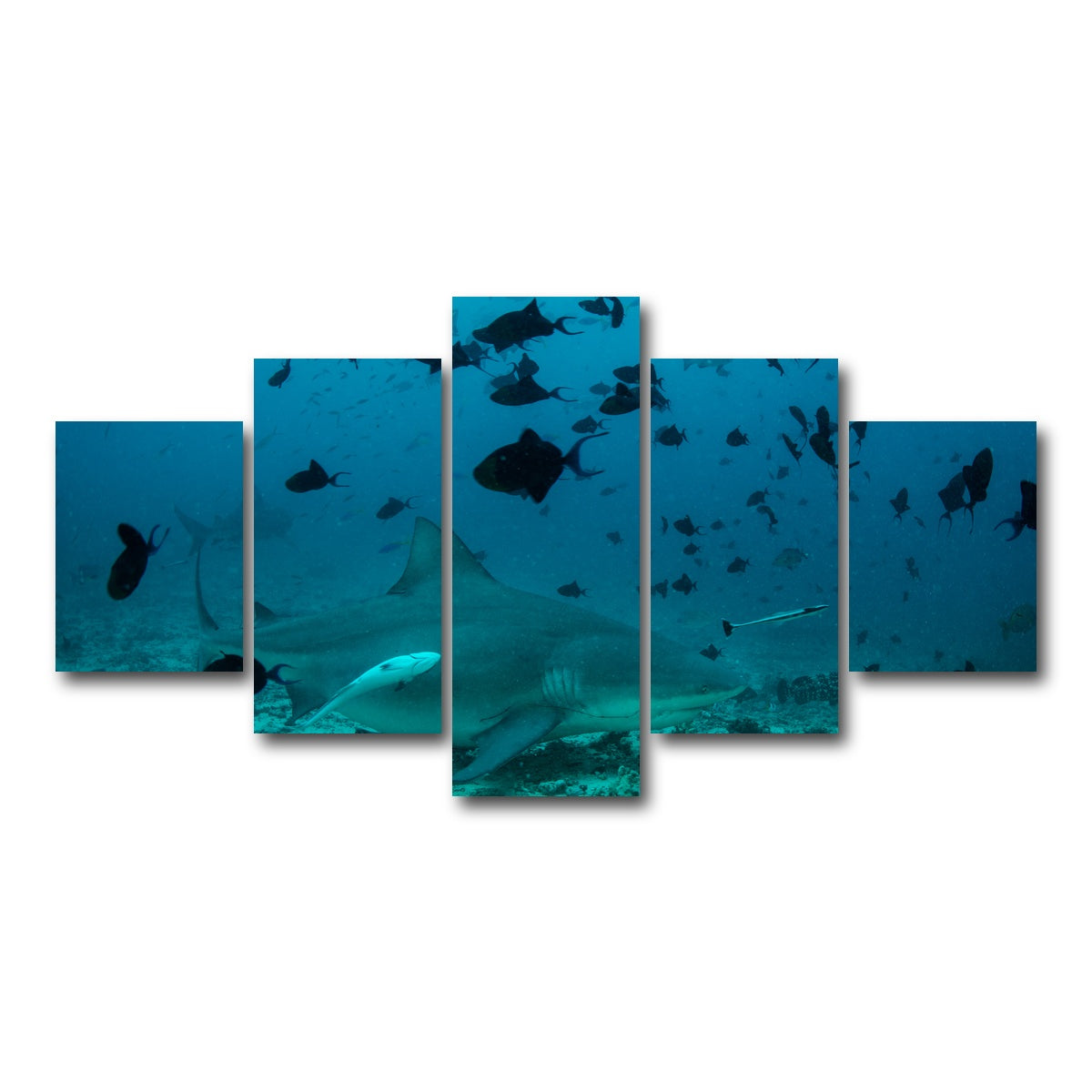 AUTO-MOCKUP WHITE | Bull Shark and Reef Fish | 5 Piece | Gallery Wrap Canvas | group=5_short