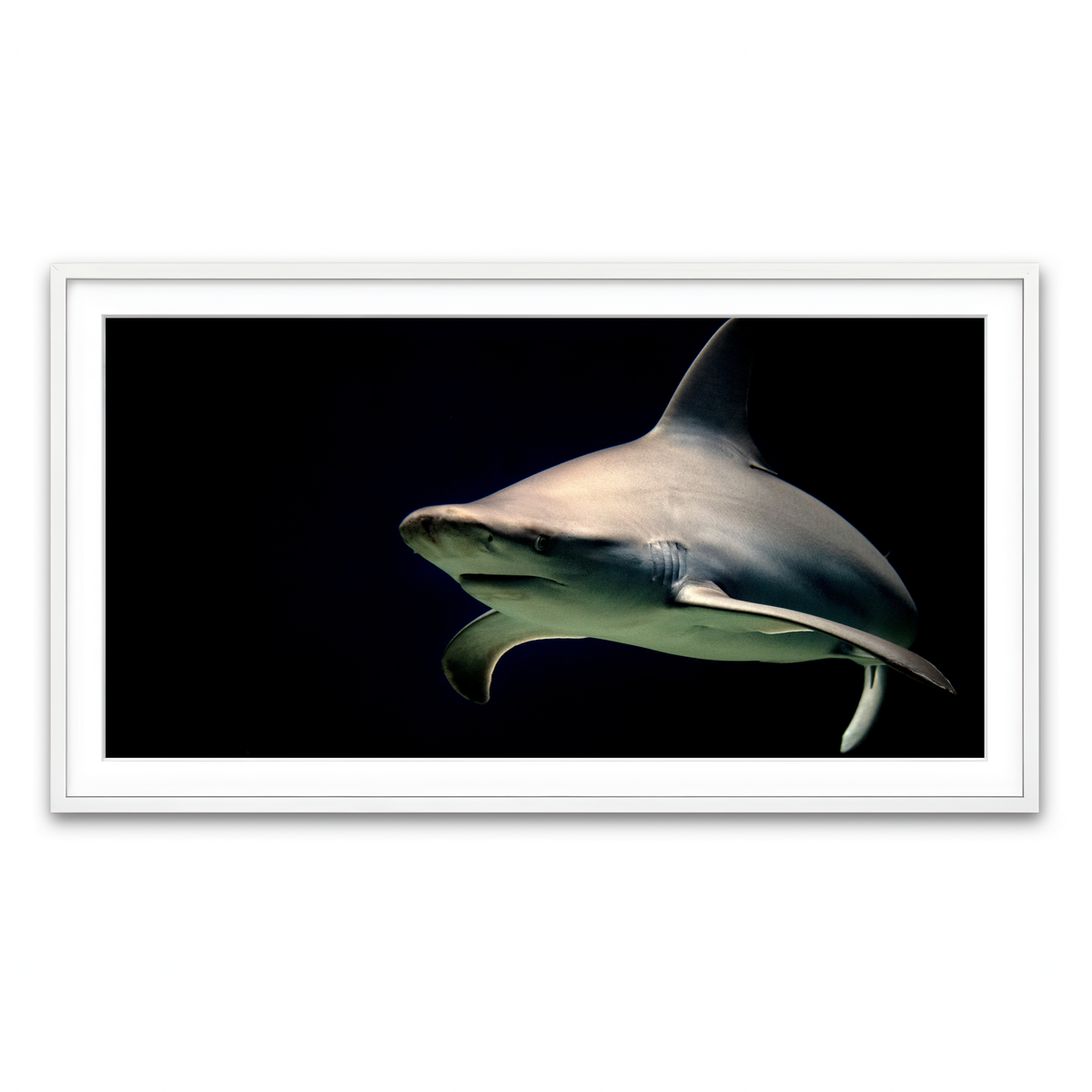 Framed Print 2x1 White
