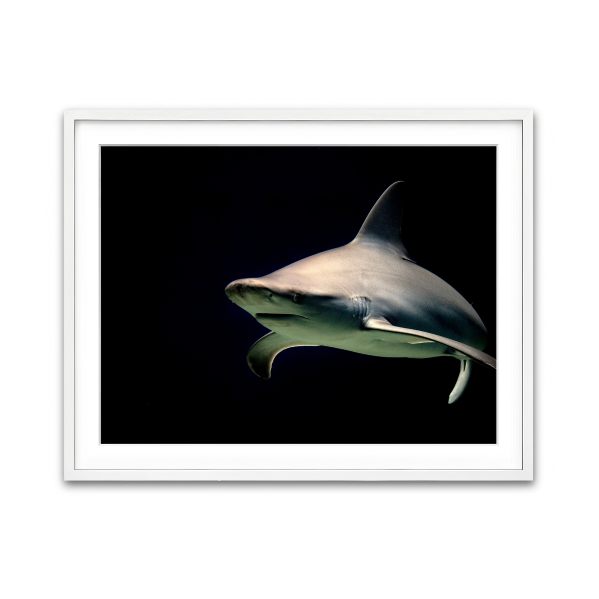 Framed Print 4x3 White