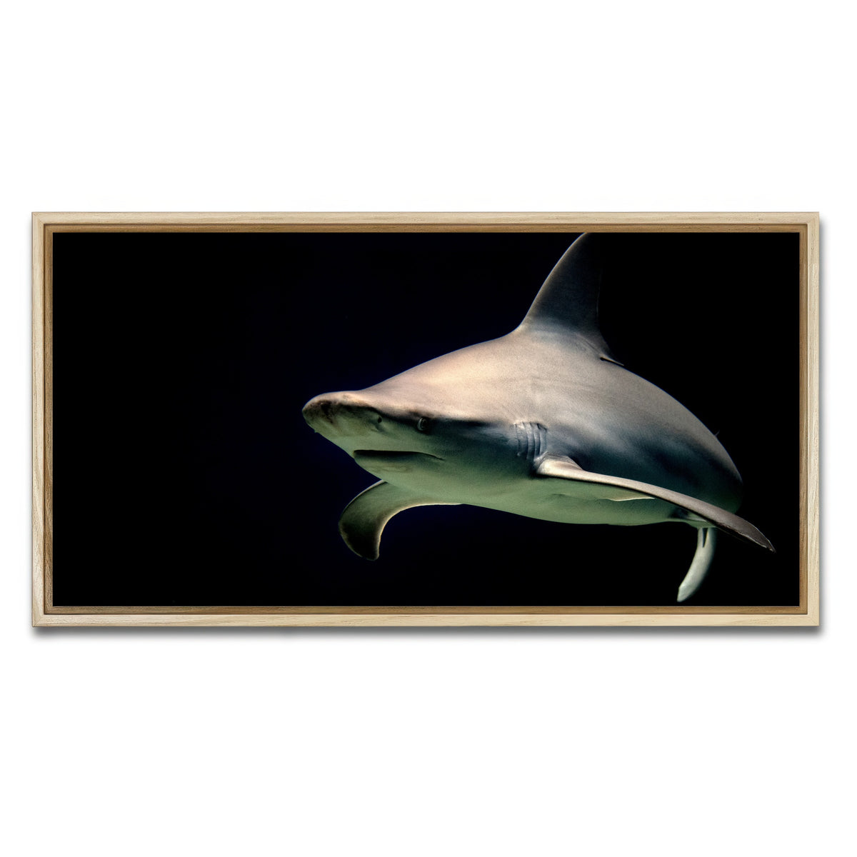AUTO-MOCKUP WHITE | Bull Shark at night | 1 Piece | Natural Framed Canvas | group=2x1