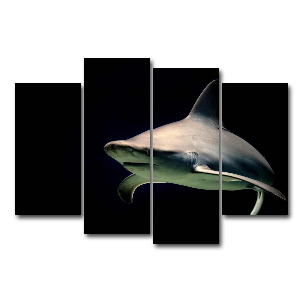 AUTO-MOCKUP WHITE | Bull Shark at night | 4 Piece | Gallery Wrap Canvas | group=4_short