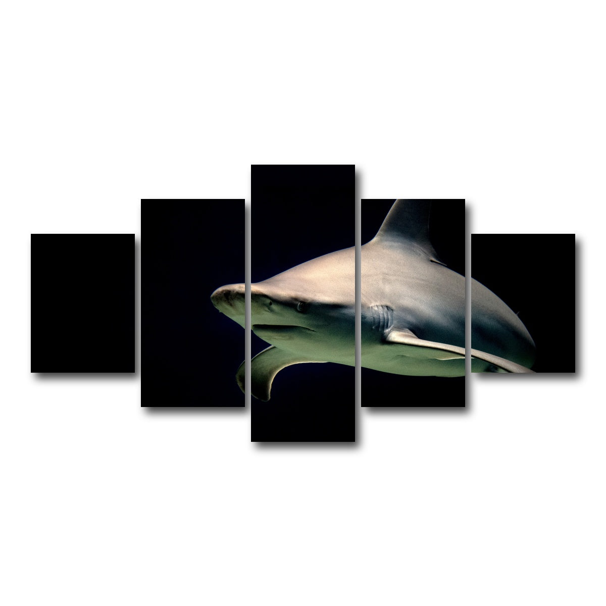 AUTO-MOCKUP WHITE | Bull Shark at night | 5 Piece | Gallery Wrap Canvas | group=5_short