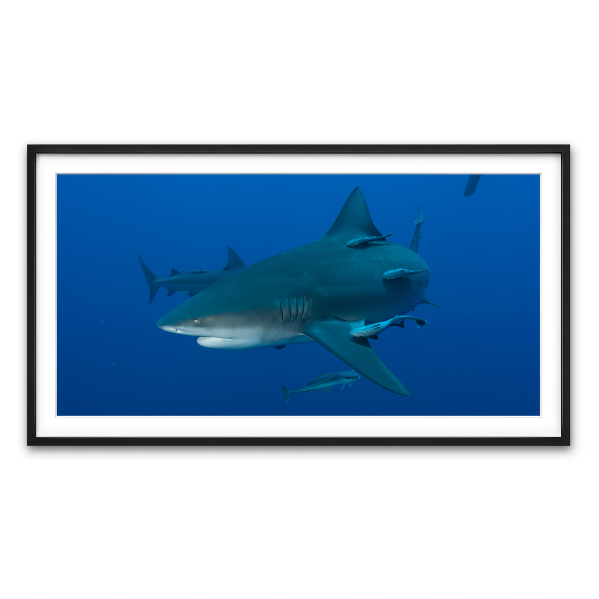 Framed Print 2x1 Black