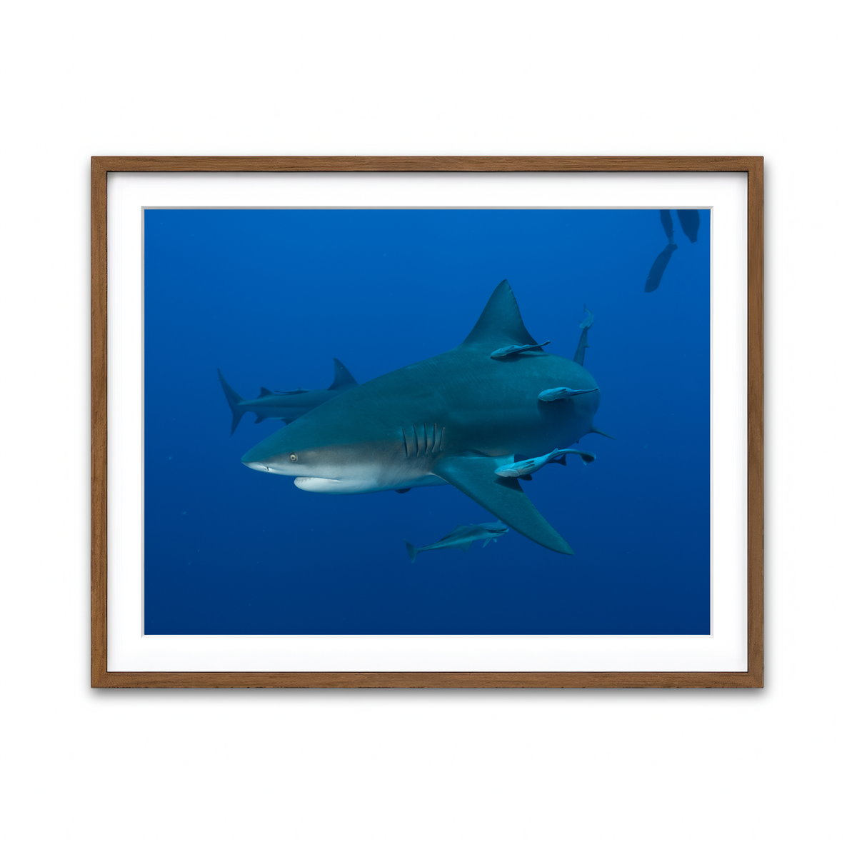 Framed Print 4x3 Walnut