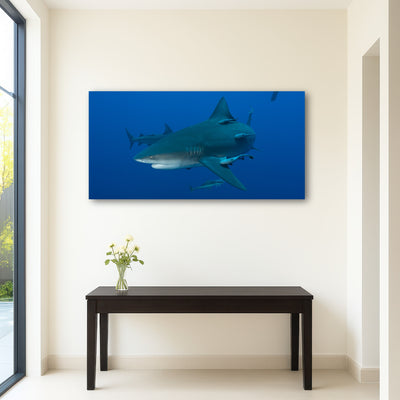 AUTO-MOCKUP ROOM | Bull shark and Remoras