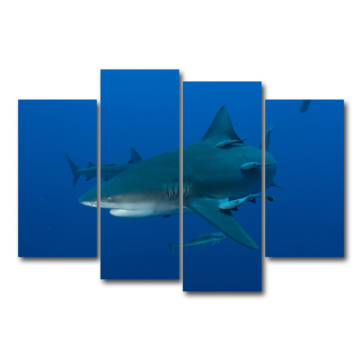 AUTO-MOCKUP WHITE | Bull shark and Remoras | 4 Piece | Gallery Wrap Canvas | group=4_short