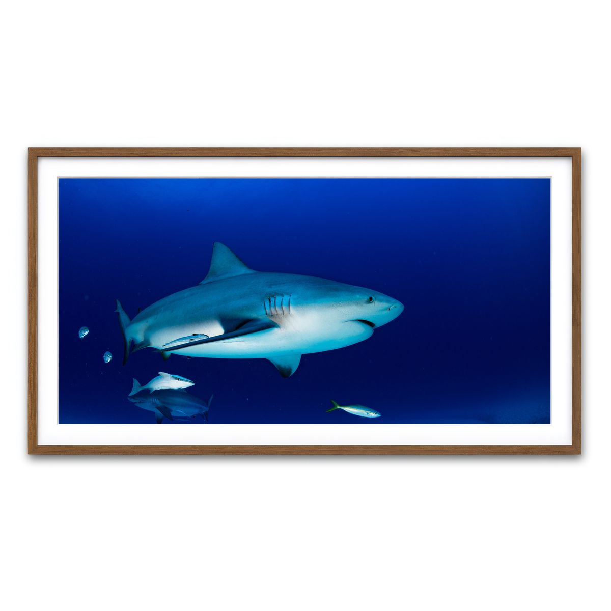 Framed Print 2x1 Walnut