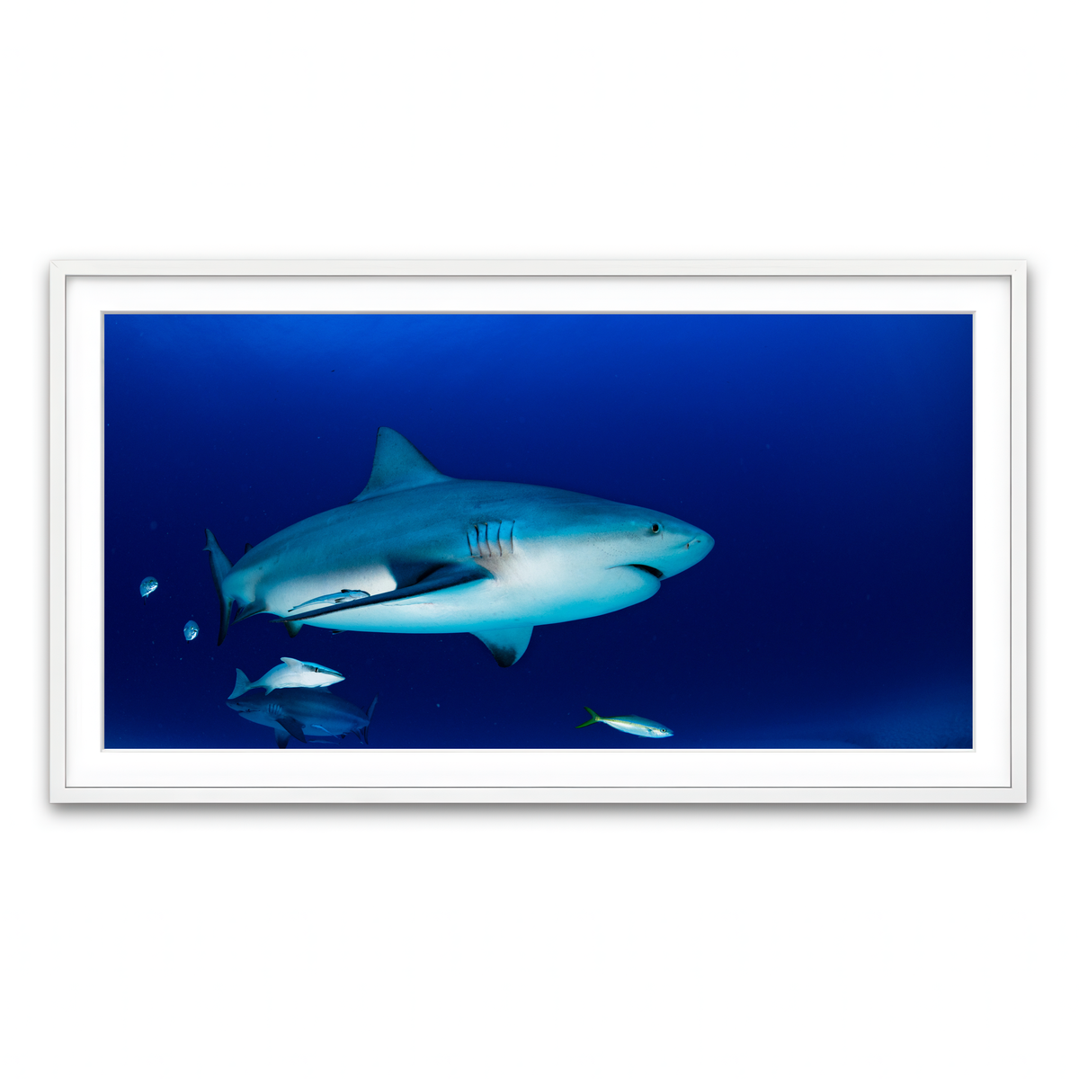 Framed Print 2x1 White