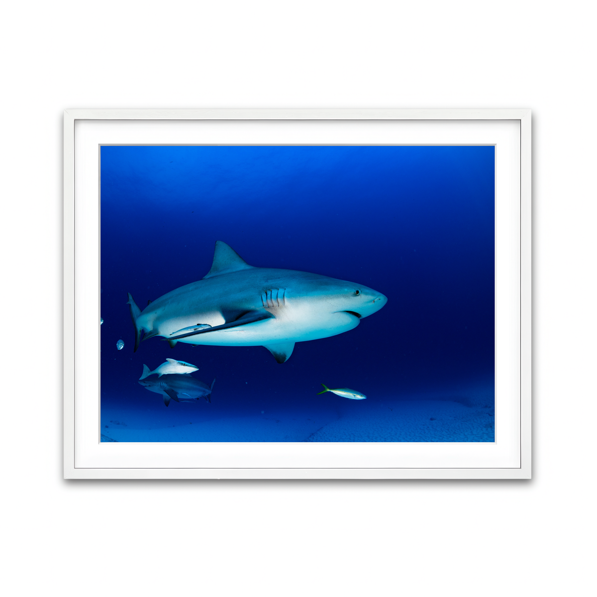 Framed Print 4x3 White