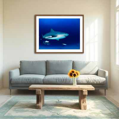AUTO-MOCKUP ROOM | Bull Shark in the Blue Ocean Wall Art