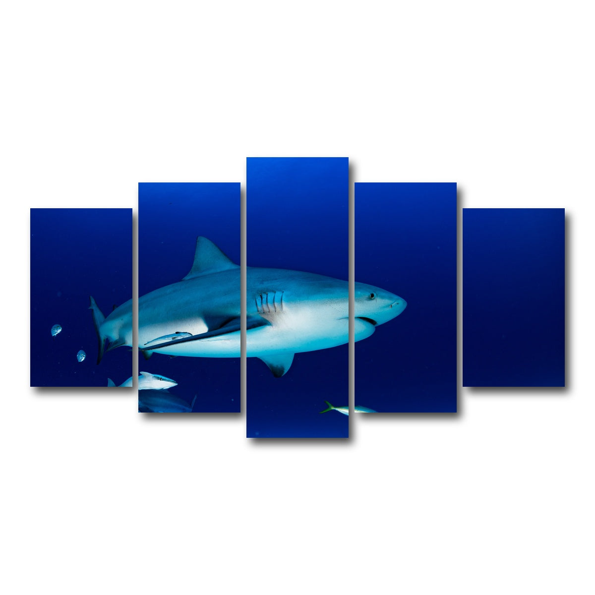 AUTO-MOCKUP WHITE | Bull shark in the blue ocean | 5 Piece | Gallery Wrap Canvas | group=5_normal