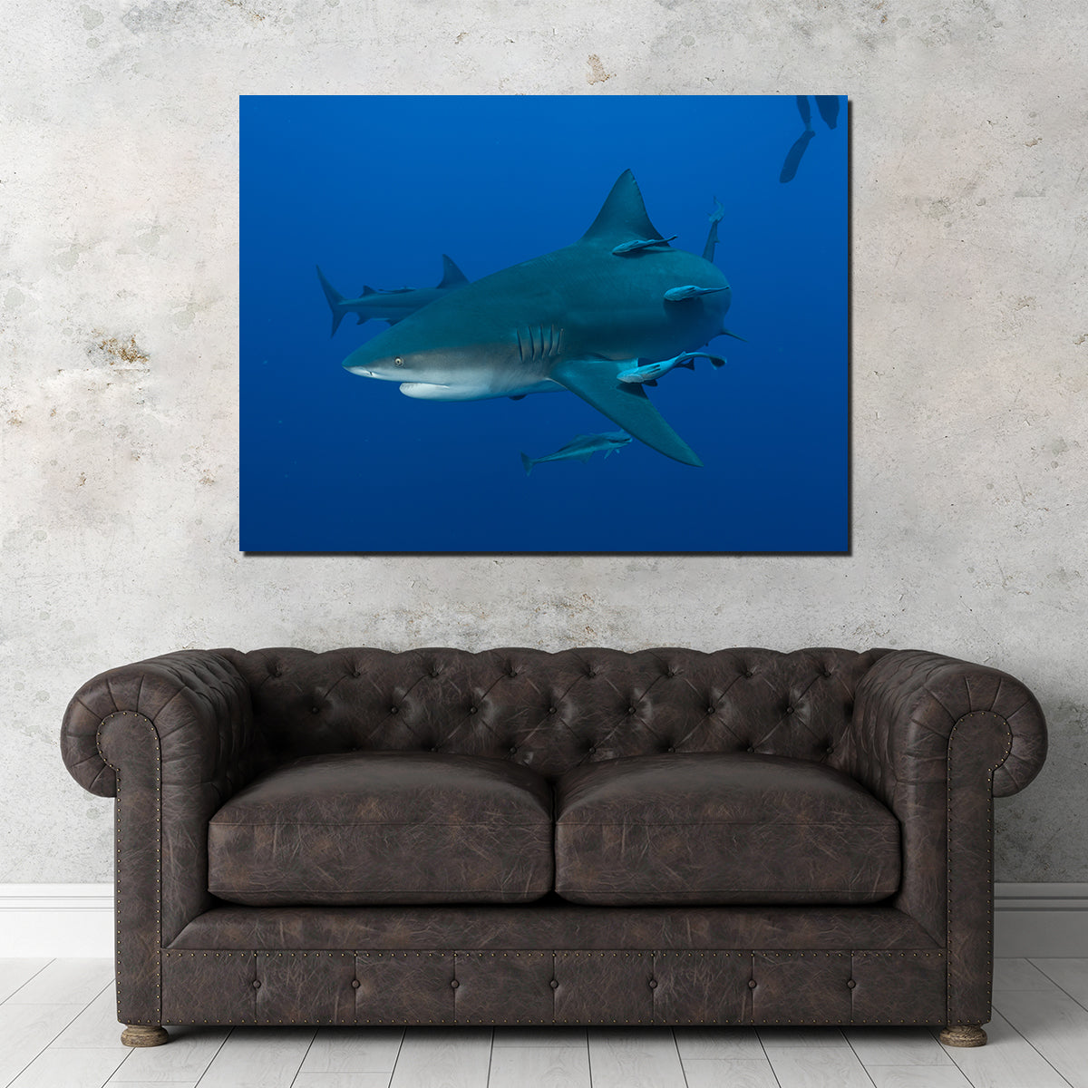 Bull shark and Remoras Wall Art