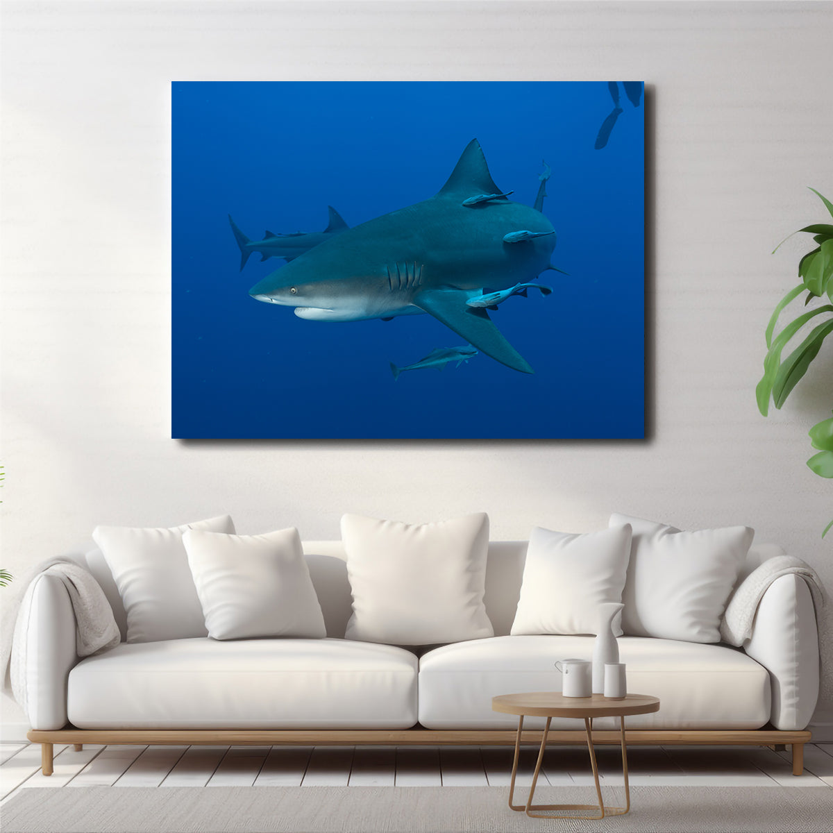 Bull shark and Remoras Wall Art