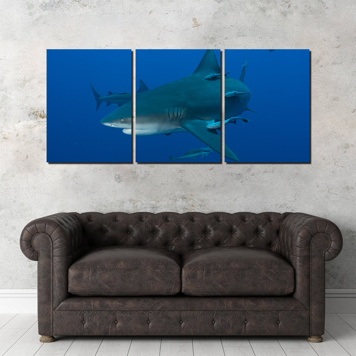 Bull shark and Remoras Wall Art
