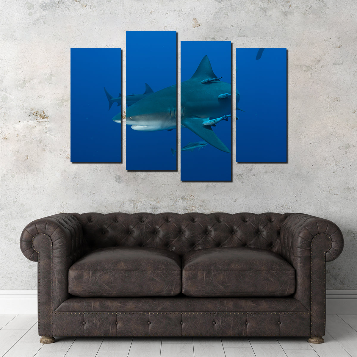 Bull shark and Remoras Wall Art