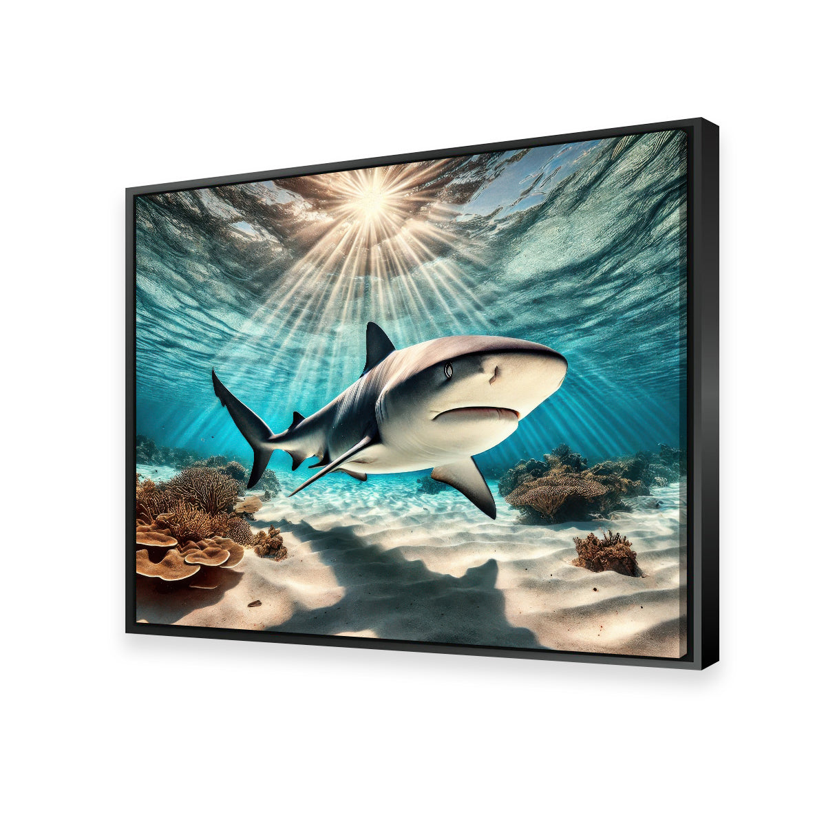 Bull Shark in Tropical Waters Wall Art