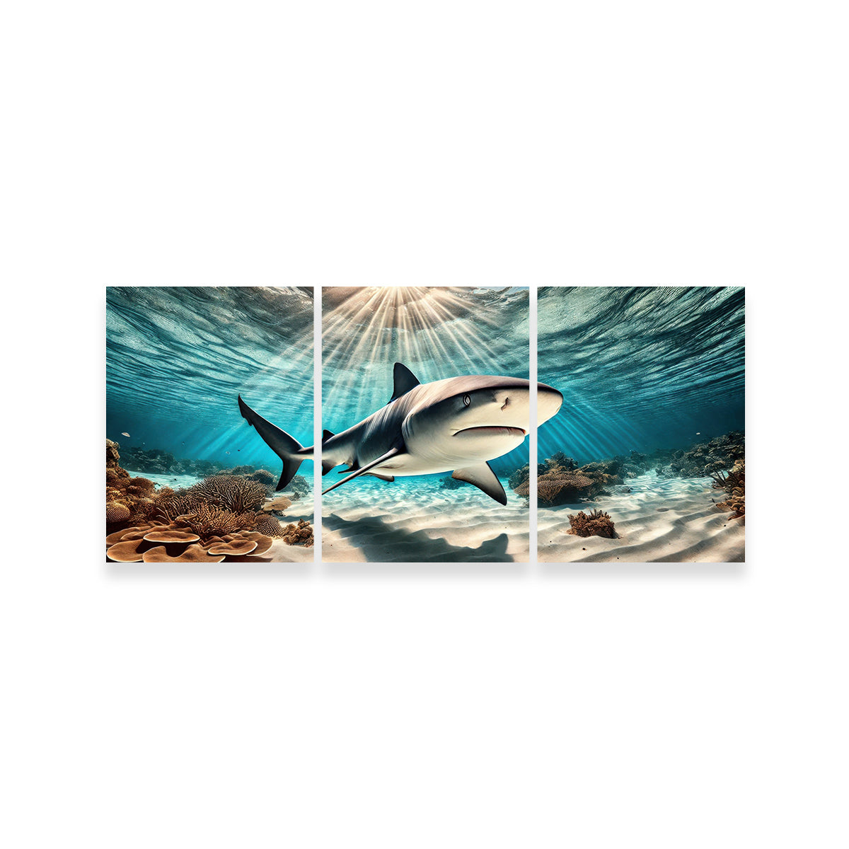 Bull Shark in Tropical Waters Wall Art