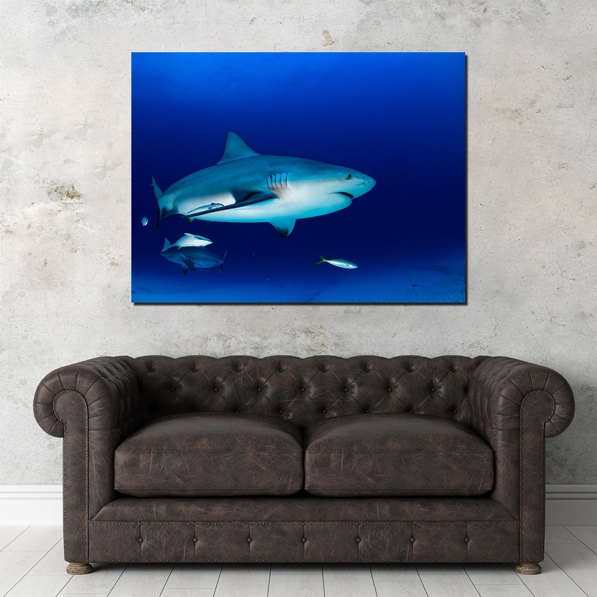Bull Shark in the Blue Ocean Wall Art