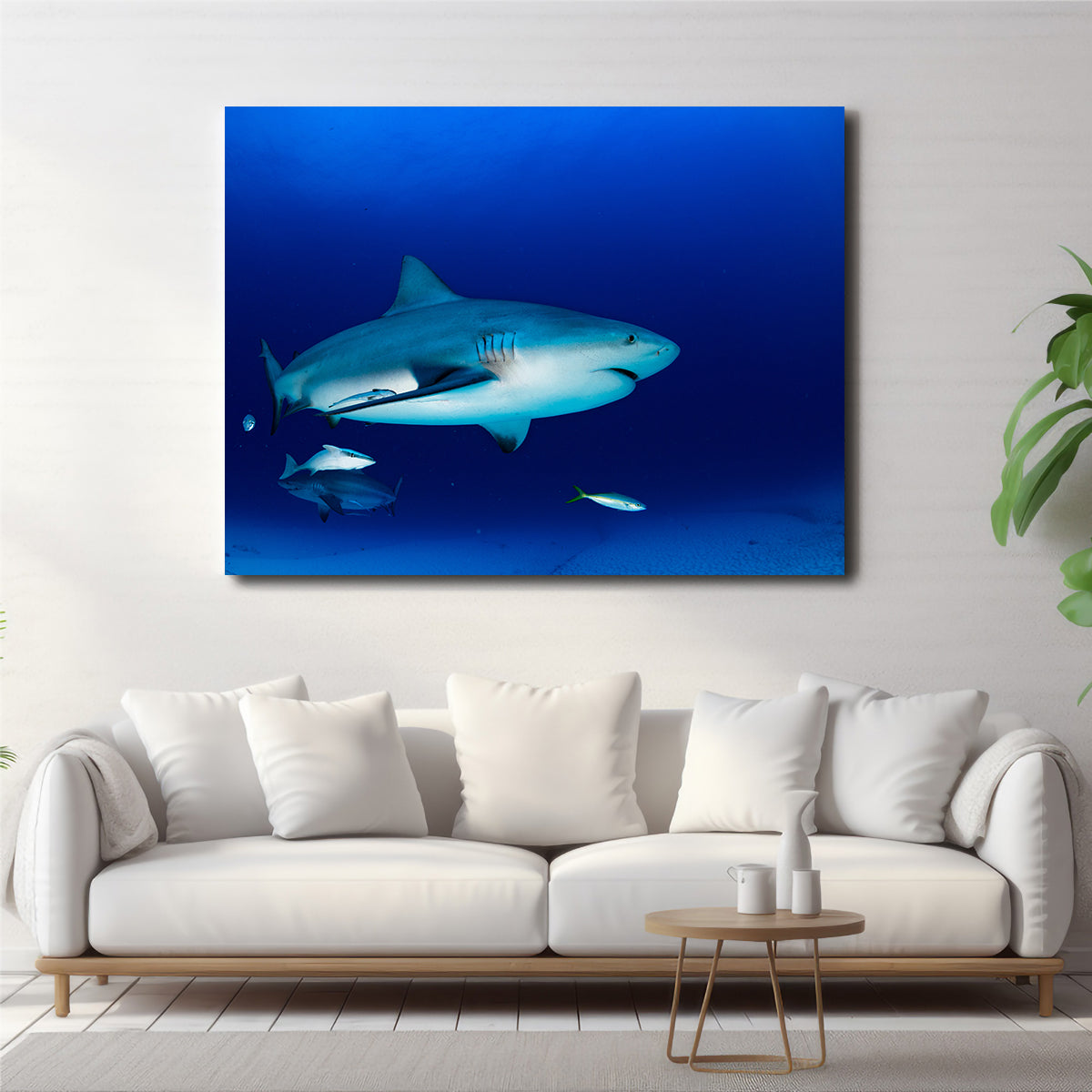 Bull Shark in the Blue Ocean Wall Art