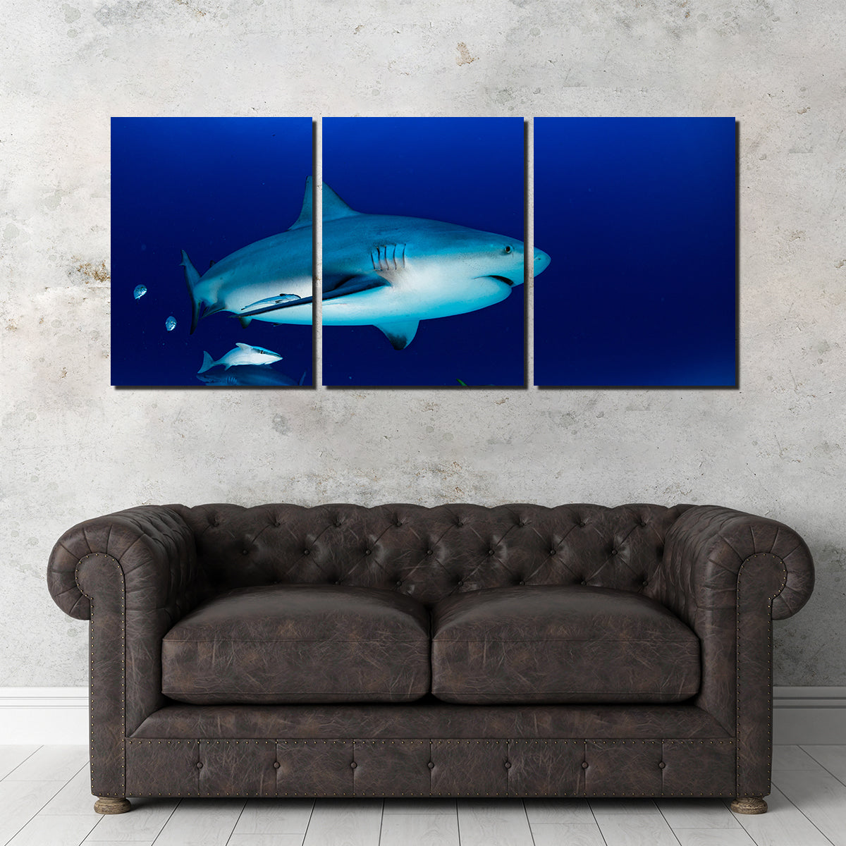 Bull Shark in the Blue Ocean Wall Art