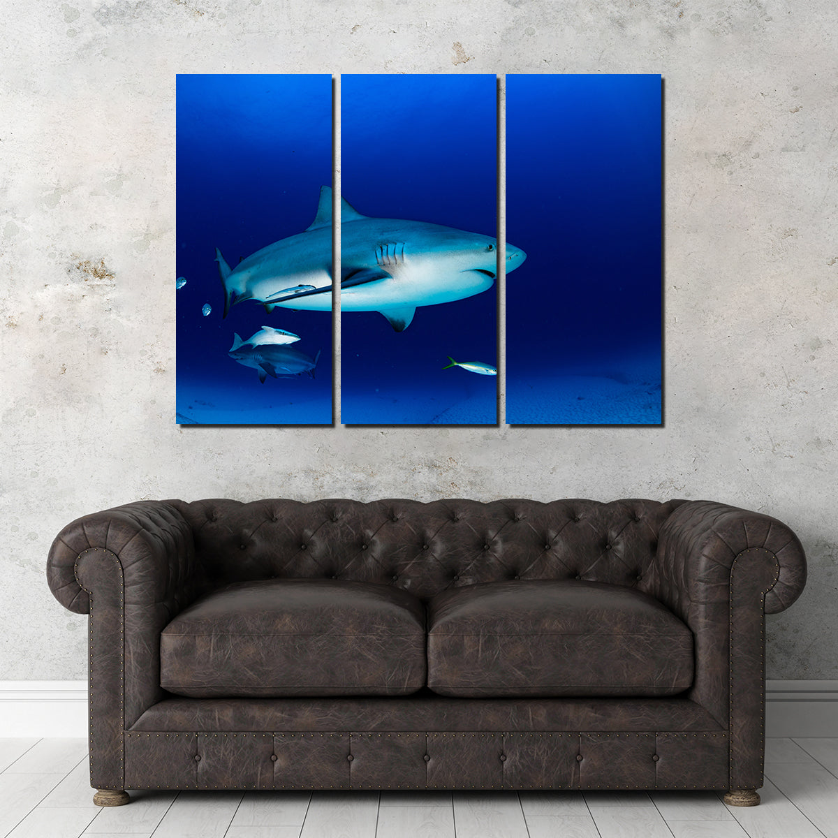 Bull Shark in the Blue Ocean Wall Art