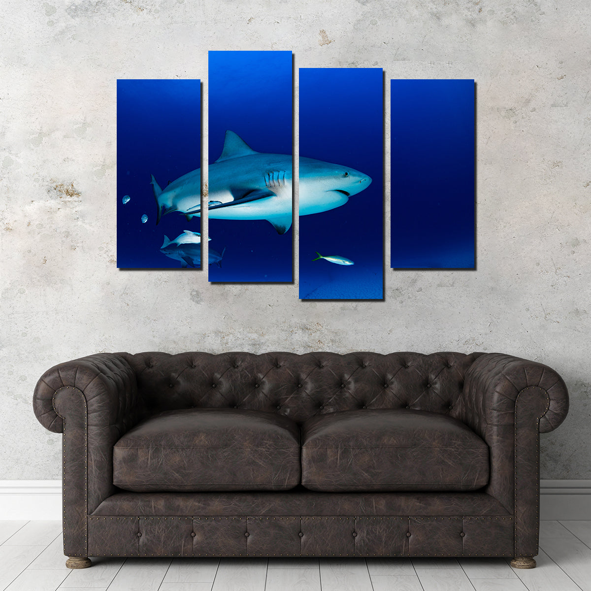 Bull Shark in the Blue Ocean Wall Art