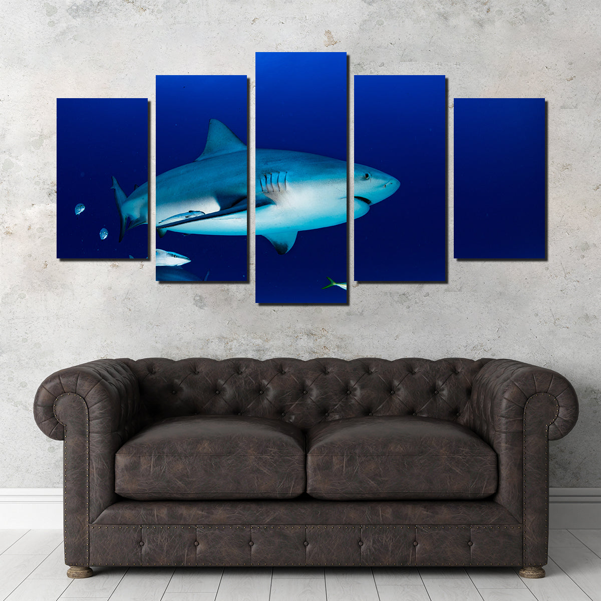 Bull Shark in the Blue Ocean Wall Art