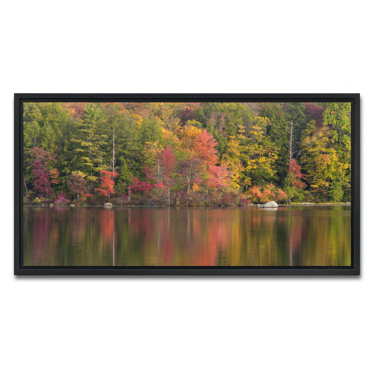 AUTO-MOCKUP WHITE | Burr Pond State Park | 1 Piece | Black Framed Canvas | group=2x1