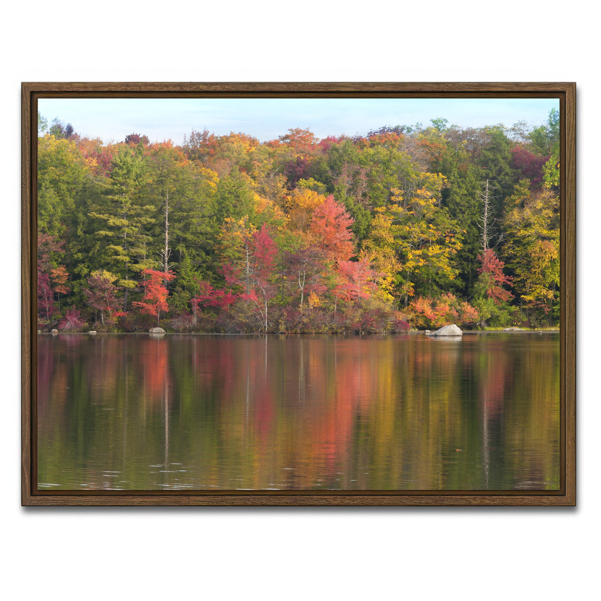 AUTO-MOCKUP WHITE | Burr Pond State Park | 1 Piece | Walnut Framed Canvas | group=4x3