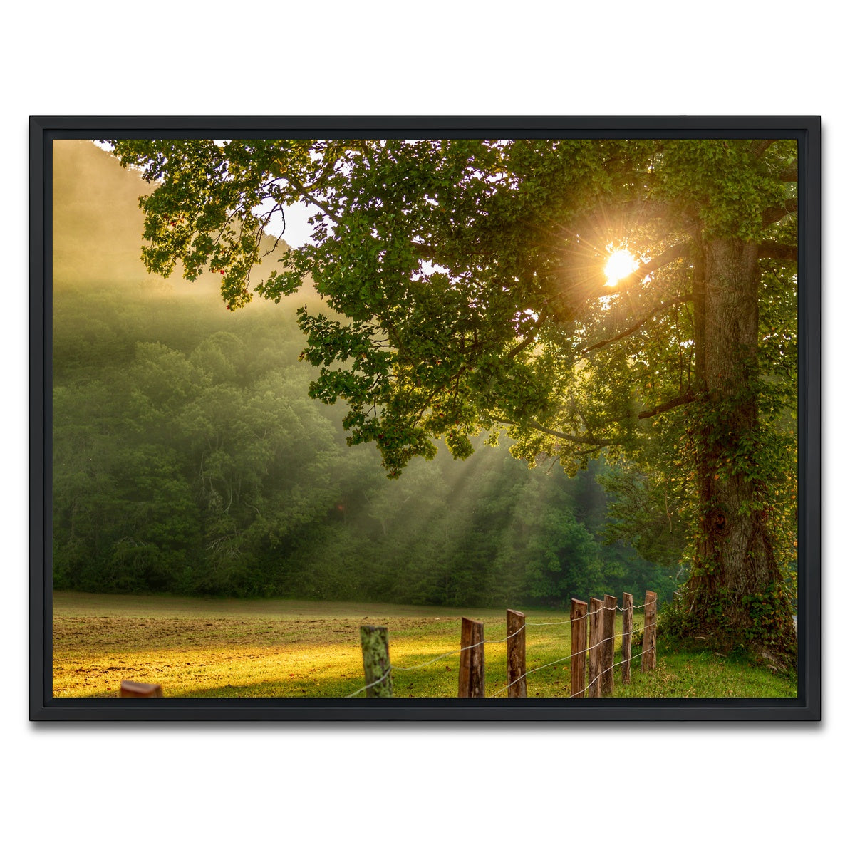 AUTO-MOCKUP WHITE | Cades Cove | 1 Piece | Black Framed Canvas | group=4x3