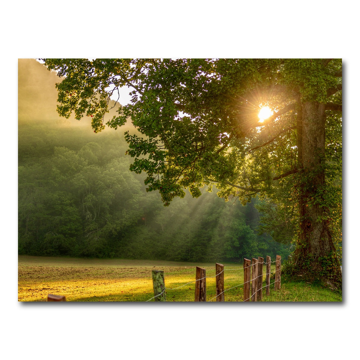 AUTO-MOCKUP WHITE | Cades Cove | 1 Piece | Gallery Wrap Canvas | group=4x3